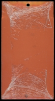 Stamp picture